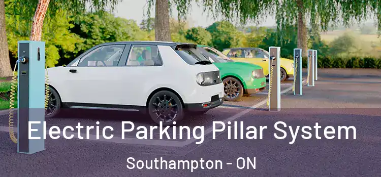 Electric Parking Pillar System Southampton - ON