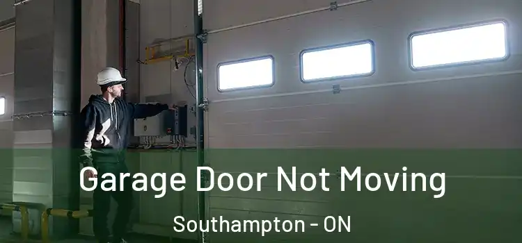  Garage Door Not Moving Southampton - ON